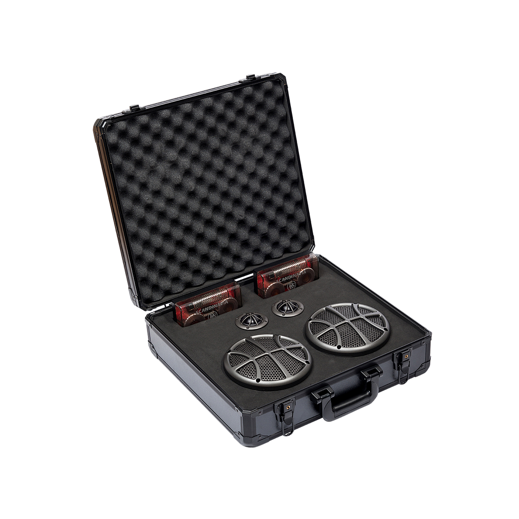 Scandinavia Pro Comp 16.5cm 2 Wege LS-System/ Flight Case CK-SCANDCASE2